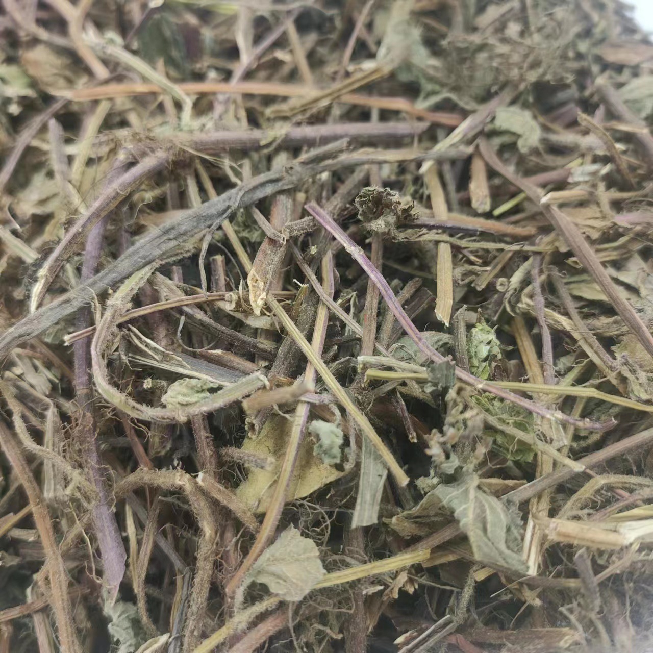 仙人草 凉粉草 /神仙草 /仙人冻 /仙草干 烧仙草 中药材批发