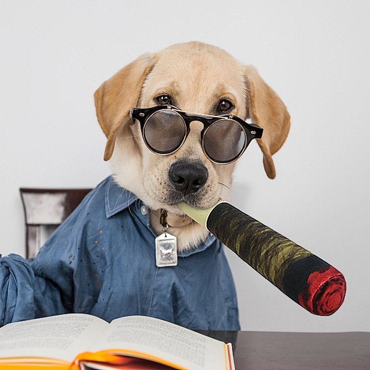 现货批发跨境狗狗发声玩具 绿色雪茄 毛绒宠物玩具亚马逊货源厂家