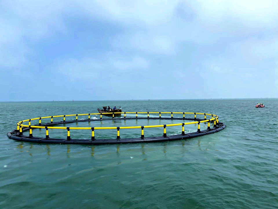 深海养殖网箱渔业海洋牧场网箱定制特种网