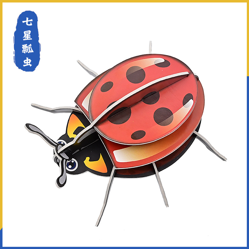 kt七星瓢虫 小学生昆虫认知益智科学实验教具 儿童手工科技小制作
