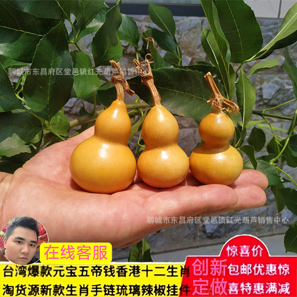 挂件籽天然大葫芦种子宝小文玩手捻小葫芦籽葫芦零售批发手捻葫芦