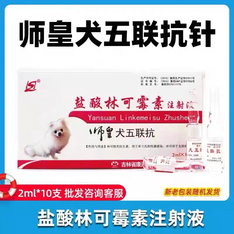 吉林康达犬五联抗 盐酸林可霉素注射液 2ml*10支/盒