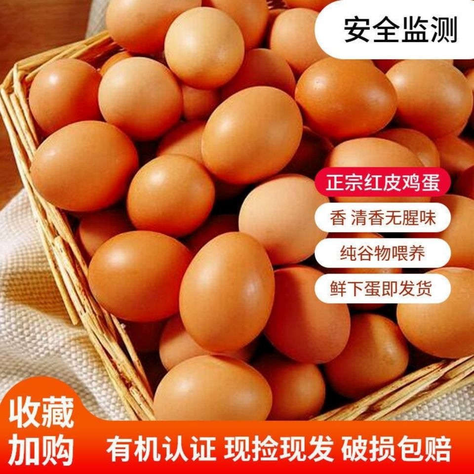 【现捡现发】农家正宗红皮鸡蛋红壳鲜鸡蛋洋鸡蛋天然无抗月子专用