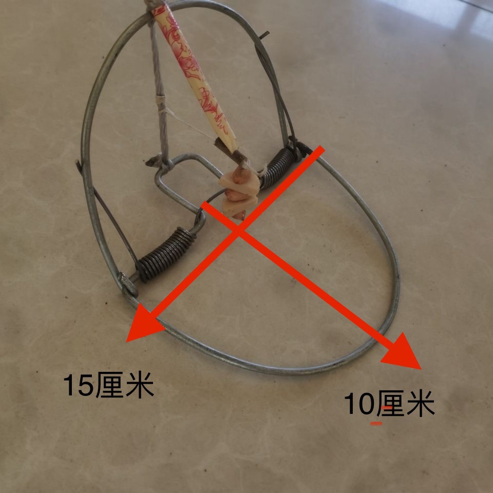 全套直接用5只装子笼鼠器新款圆形鼠夹铁质夹子老鼠贴-阿里巴巴