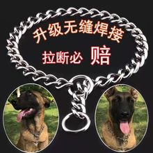 川东猎犬川东狗邻水犬邻水狗重庆猎犬重庆狗搜山冷骚猎犬预选定金