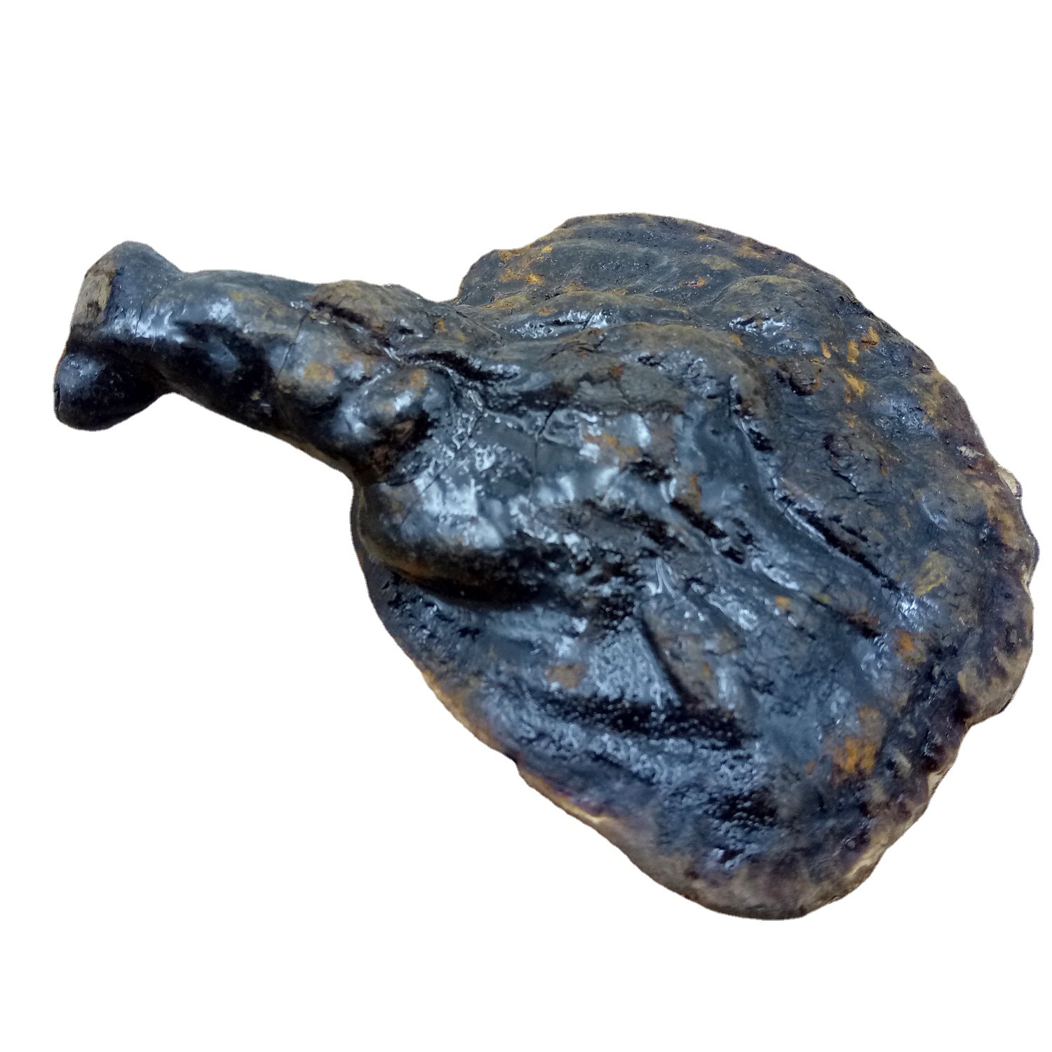 产地供应马蹄反柄灵芝紫灵芝黑灵芝不苦500g整枝野外生长非种植