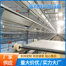 工厂直销大层叠蛋鸡笼养鸡设备 自动化养殖笼具新型热镀锌鸡笼子