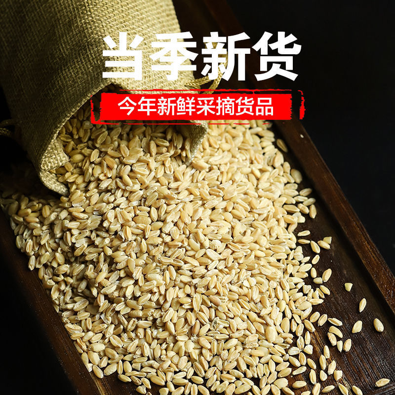 浮小麦新货炒浮小麦自汗小麦瘪小麦小麦茶