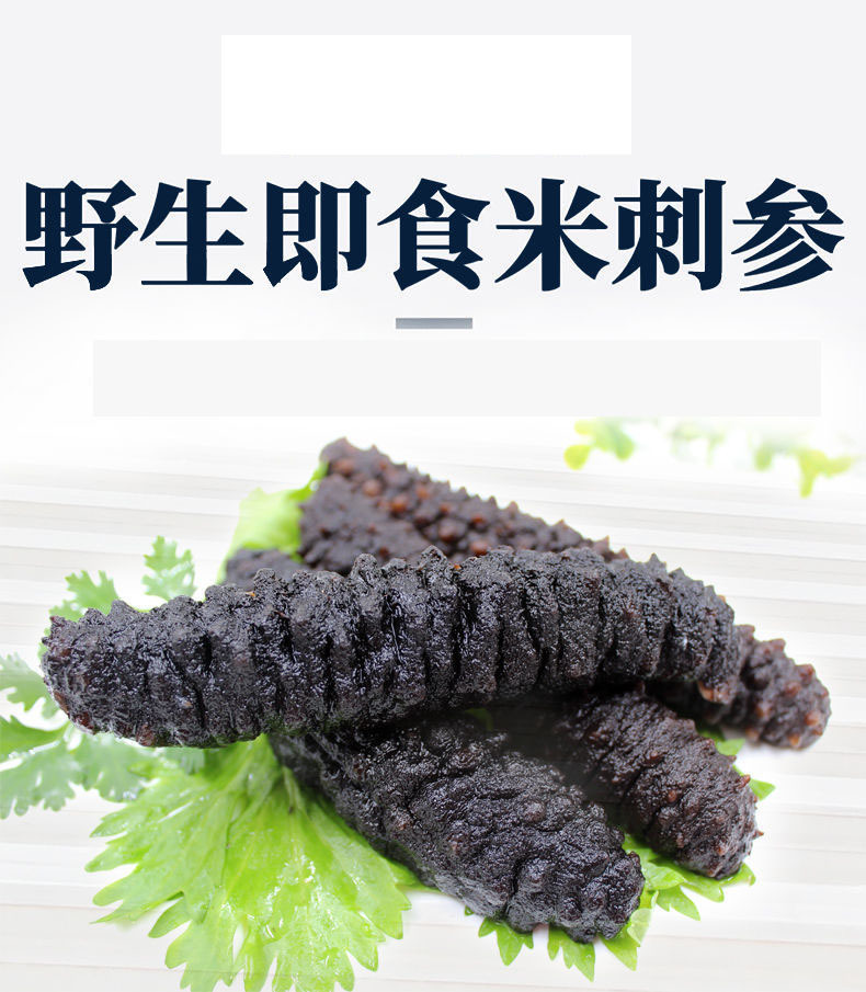 90只包邮即食米刺海参水发小海参海捕海参小米参小包装非大连辽参