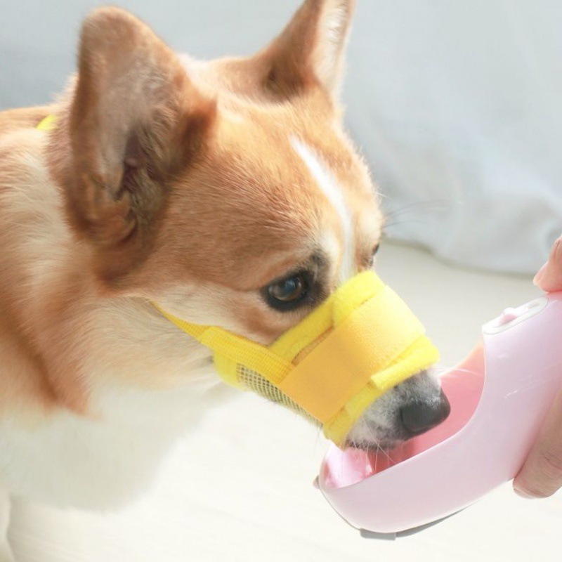 嘴套狗狗防咬狗口罩狗嘴罩小鹿犬柯基犬宠物嘴笼防乱吃一件代发