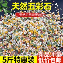 天然彩石鱼缸造景底砂多肉盆栽铺面石子鹅卵石种花装饰五彩