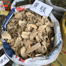 中药材黄根花狗骨木白狗骨黑根子