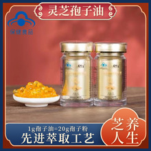 国食健字灵芝孢子油软胶囊0.4克/粒60粒/瓶三萜含量高纯度高