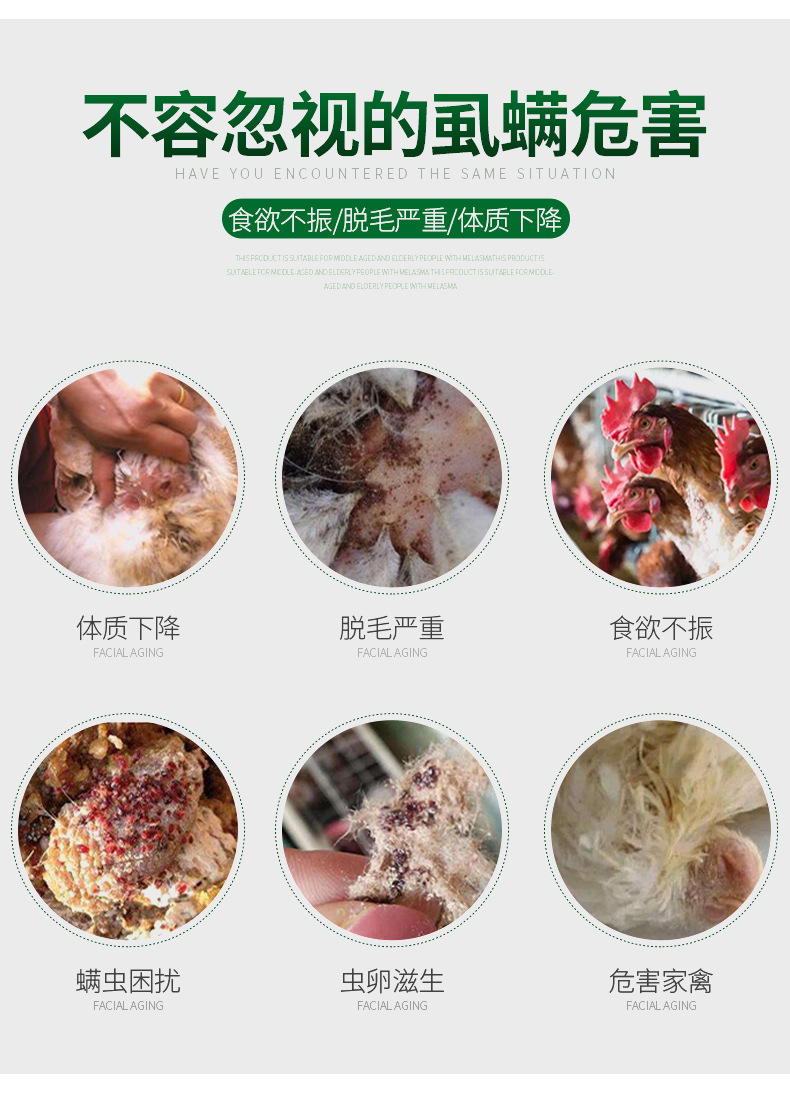 鸡虱子药厂家批发鸡用兽用加强鸡虱净驱虱子螨虫药跳蚤禽杀虫剂