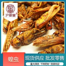 中药材批发 现货蝗虫 蚂蚱干 大蝗虫 新货品种齐全