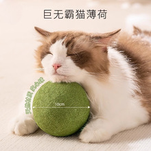 猫玩具高纯度猫薄荷球猫咪自嗨小猫逗猫棒宠物用品磨牙棒