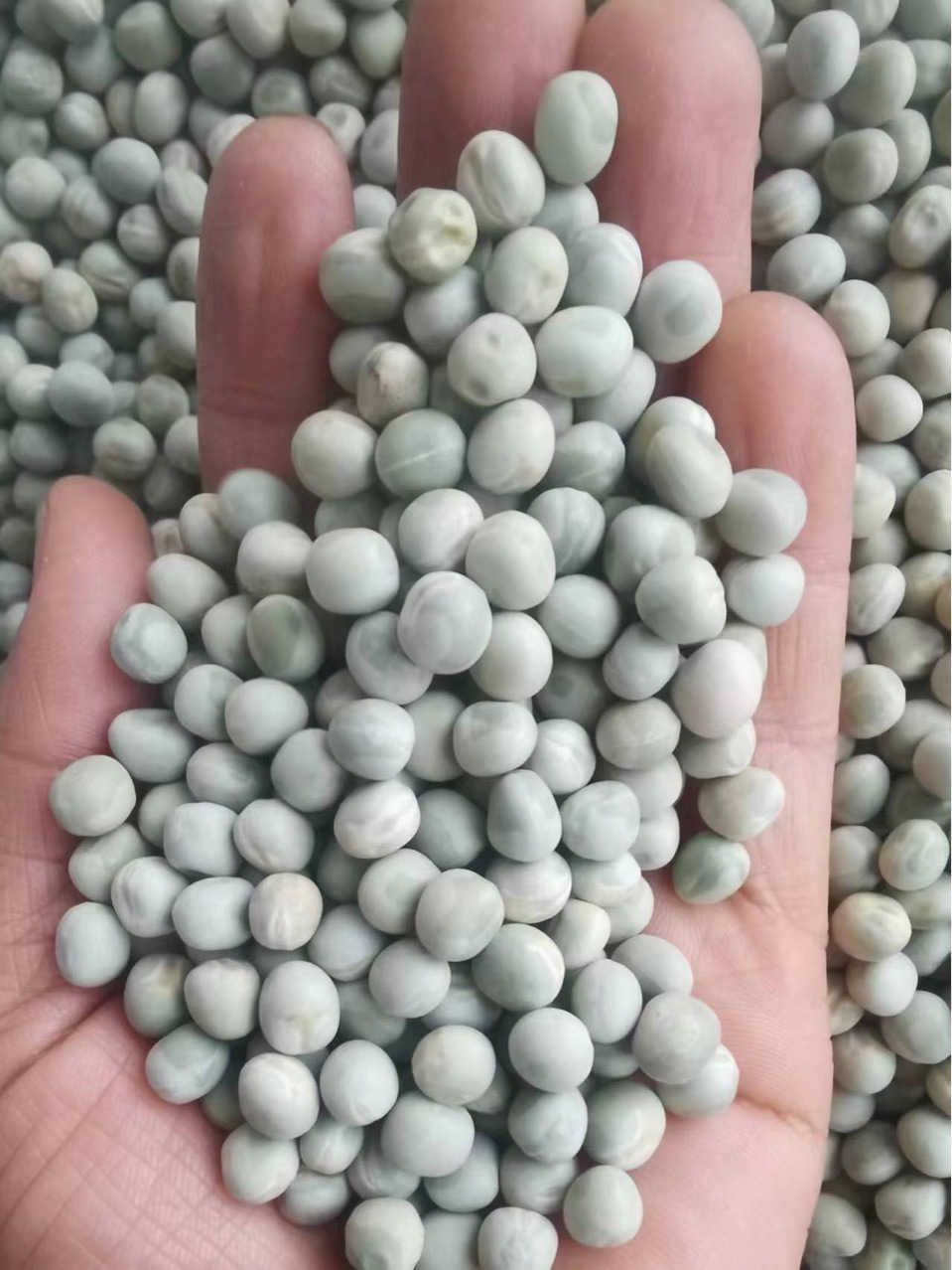 干青豌豆25公斤-阿里巴巴