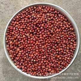 种赤豆