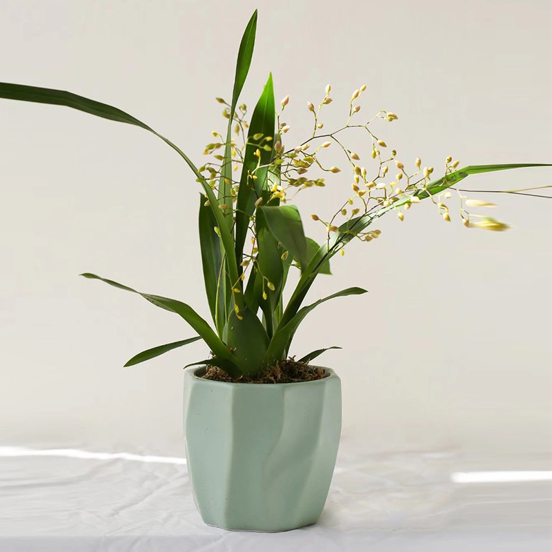 新款北欧风格陶瓷花盆简约纯色清新小盆栽植物兰花盆带孔批发