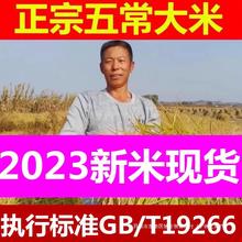 2023年新米东北大米五常大米5kg包邮稻花飘香大米1斤小包装真空