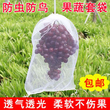 套葡萄水果套枇杷防虫防鸟白色纱网套袋透气透光防果蝇套树苗防虫