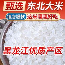 东北大米黑龙江圆粒米珍珠米五常原粮稻花香2号农家香米新米批发