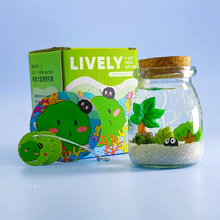 包邮海藻球微景观生态瓶水培球藻创意迷你植物桌面玻璃瓶盆栽礼冰