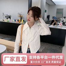 hfPolo领衬衫双头拉链衬衫上衣女秋冬新款大码微胖mm显瘦法式立领