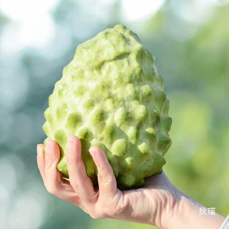 5斤特大果现货牛奶凤梨释迦果新鲜水果包邮整箱台湾番