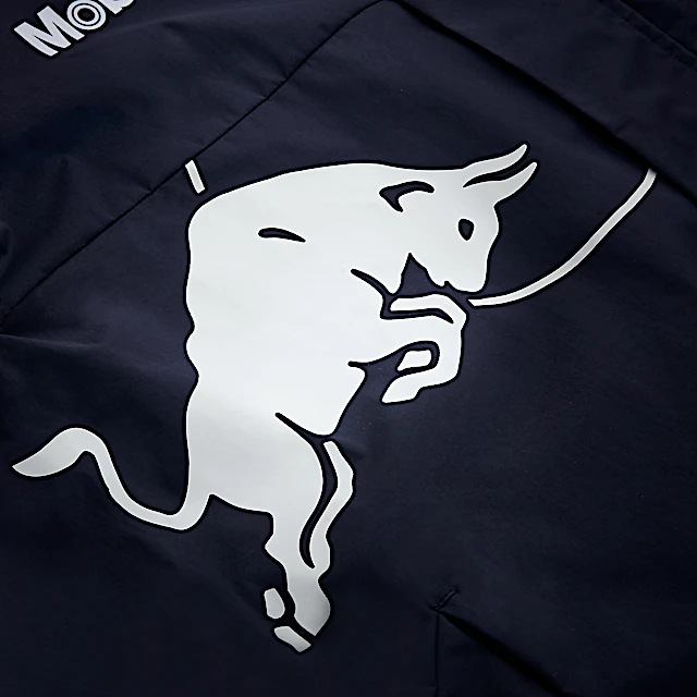 21款f1马丁奔驰红牛车队风衣外套夹克长袖男秋冬装衣服冲锋衣户外