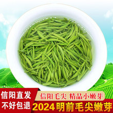 茶叶批发信阳毛尖2024新茶明前春小嫩芽高山小芽农家自产自销250g