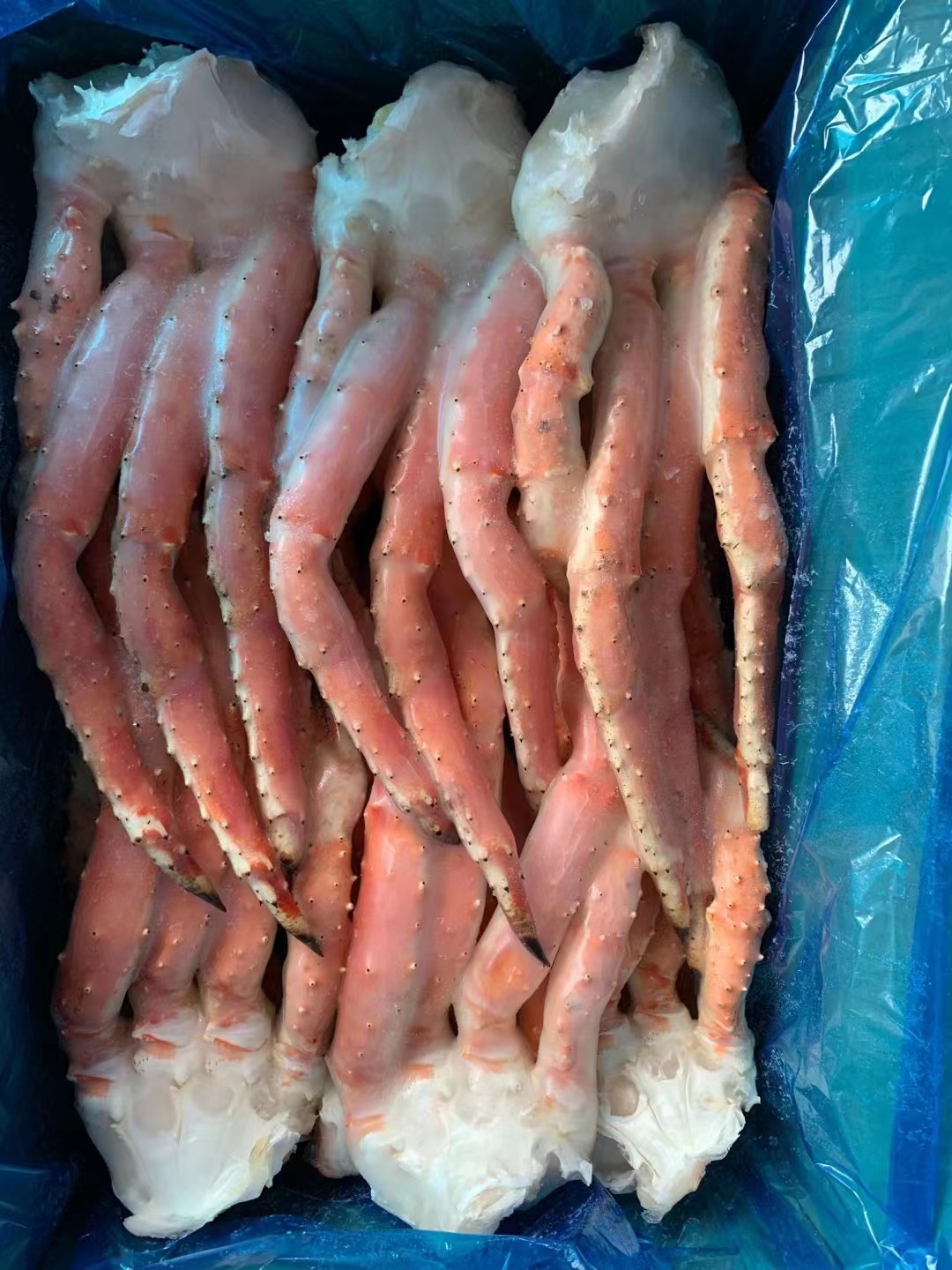 批发冻品阿拉斯加帝王蟹脚长脚蟹钳螃蟹钳海蟹钳蟹脚熟冻帝王蟹足