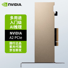 英伟达（NVIDIA）A2 16GB 专业运算卡