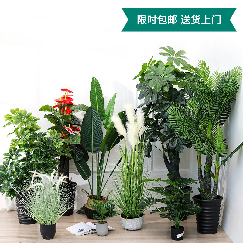 Imitative Tree Plant Large Ravenala Bonsai Indoor Domestic Ornaments Bird of Paradise Fake Trees Green Plant Bonsai