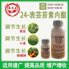 24-表芸薹素内酯威尔达出品促生长壮花保果促分裂和延缓调节生长