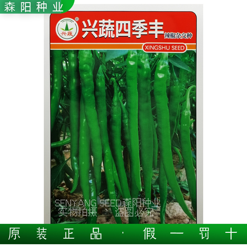 兴蔬四季丰辣椒种子中熟长线尖椒春秋季特辣火凤凰艳椒15红冠303