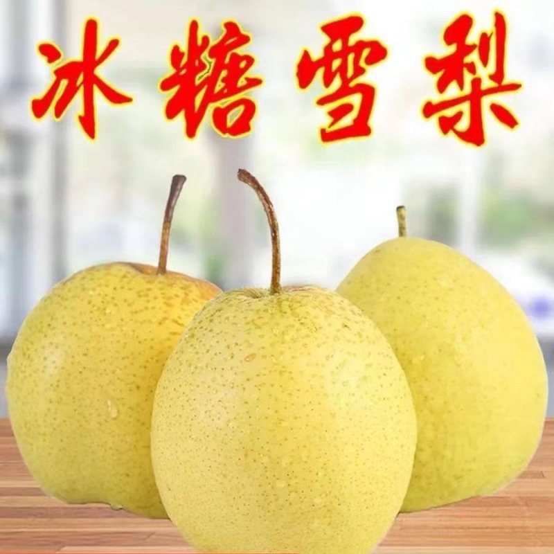 雪梨河北梨梨子10斤冰糖雪梨新鲜水果当季水果3斤5斤-阿里巴巴