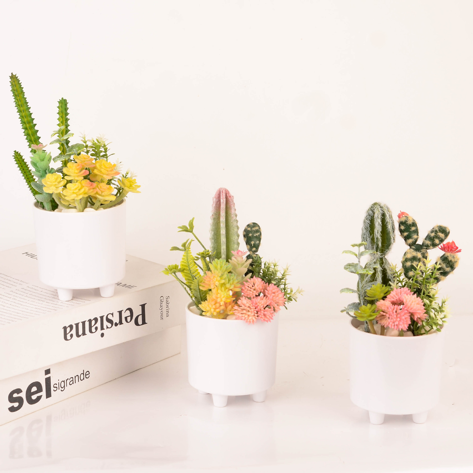 室桌面盆栽绿植多肉植物桌面盆景盆栽小盆栽绿植小植物盆栽桌面绿植