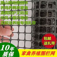 全新料小孔养殖网塑料网格栅网防护网拦鸡鸭网漏粪网床护栏围栏网