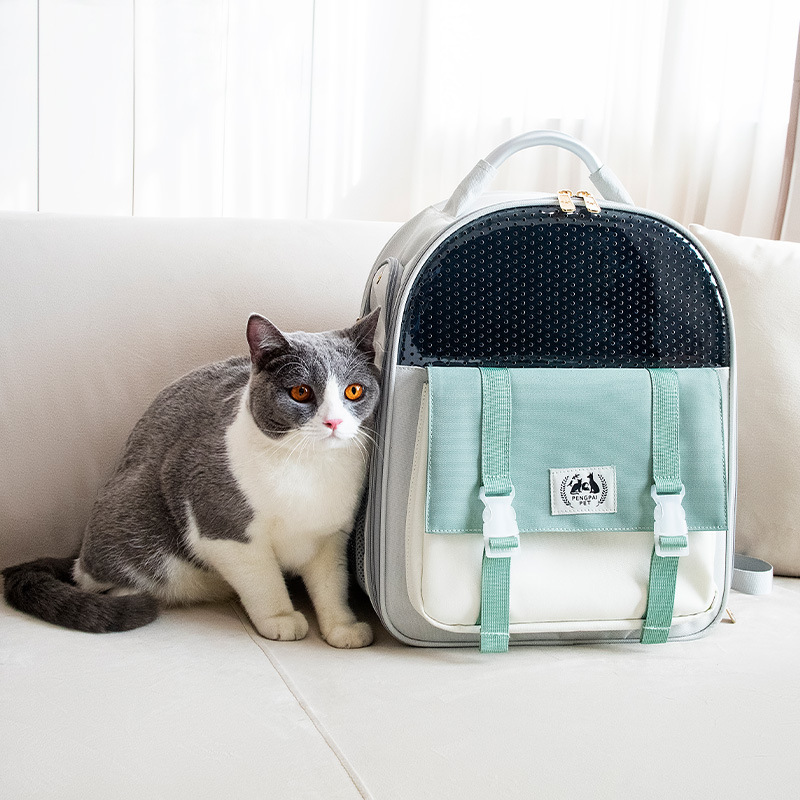 New Cat Bag Outdoor Breathable Backpack Pet Bag Foldable Backpack Large Capacity Dog Bag Wholesale Three-Dimensional Handbag