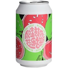 整箱 国产气泡实验室 爪哇部落芭乐古斯啤酒330ml*24瓶