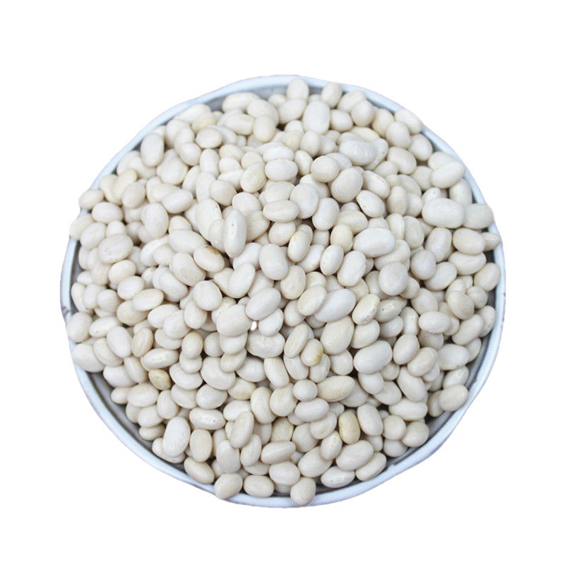 云南珍珠豆 新货农家自种小芸豆小白豆炖菜煲汤打豆浆豆类杂粮