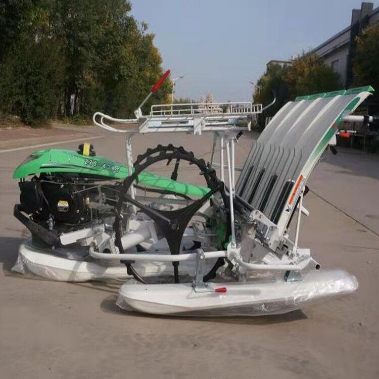水上漂手扶式六行插秧机 双行插苗机 乘坐式自动高速水稻种植机
