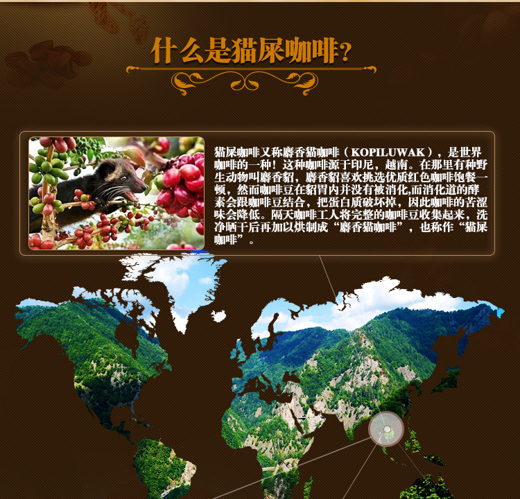 越南威拿咖啡306g三合一速溶咖啡wakeup猫屎咖啡味盒装18条*17g