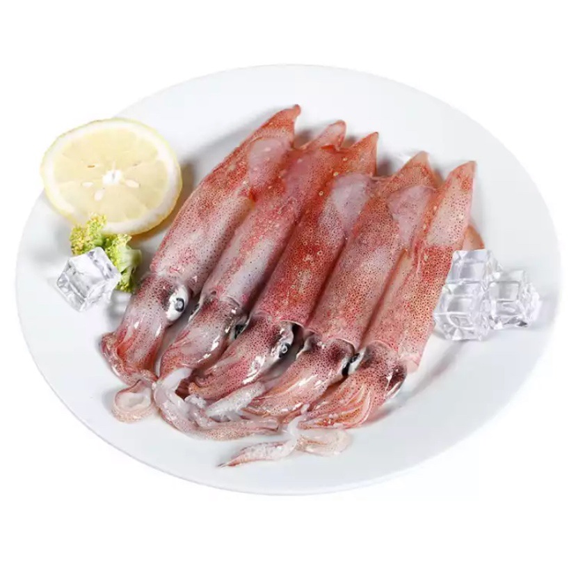 福建东山小管 带籽小管 活冻鱿鱼 海鲜冷冻水产 食用农产品