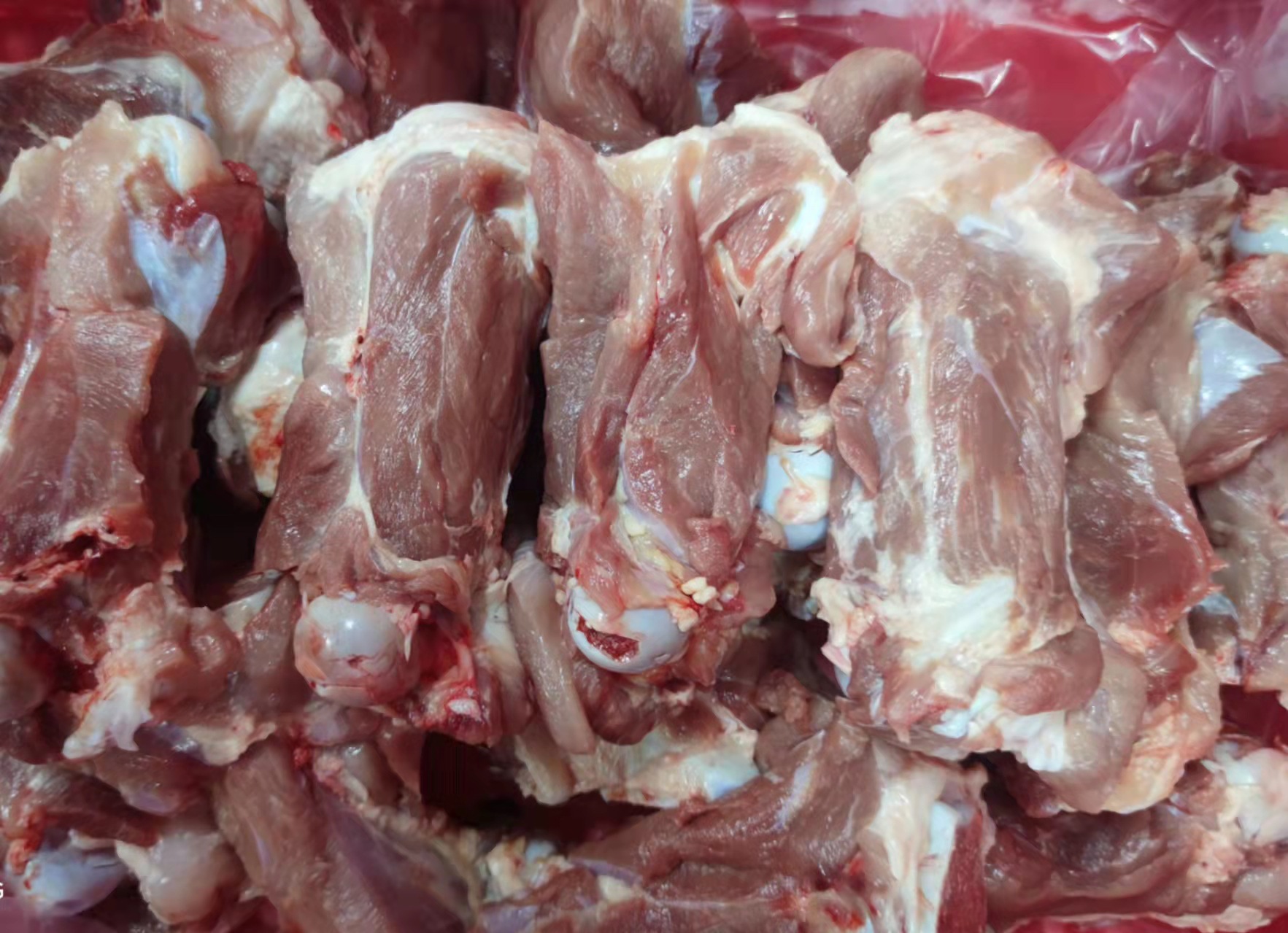 鲁富康常年销售冷冻肥猪后棒骨 冷鲜猪肉 猪分割产品