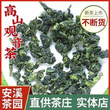 福建高山春茶安溪铁观音茶叶浓香型兰花香乌龙茶新茶