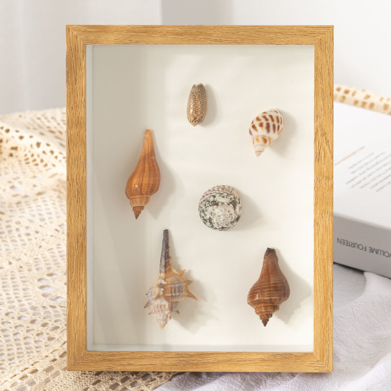 黏土相框情侣立体中空diy制作贝壳粘土放干花女保存挂墙摆件批发