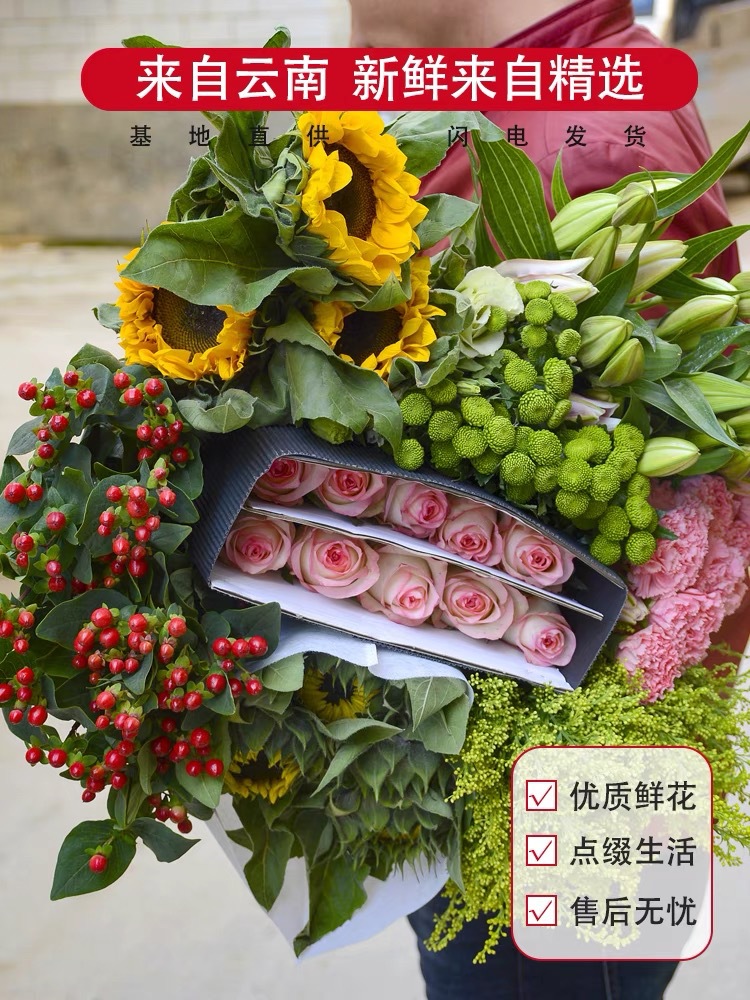 Rose Flowers Kunming Fresh Cut Flower Base Direct Wholesale Wedding Flower Shop Stall Teacher Goddess Gift Wholesale Group Purchase