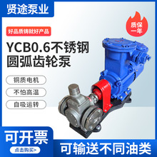 不锈钢圆弧齿轮泵 304不锈钢齿轮泵YCB0.6 压力泵电动增压燃油泵